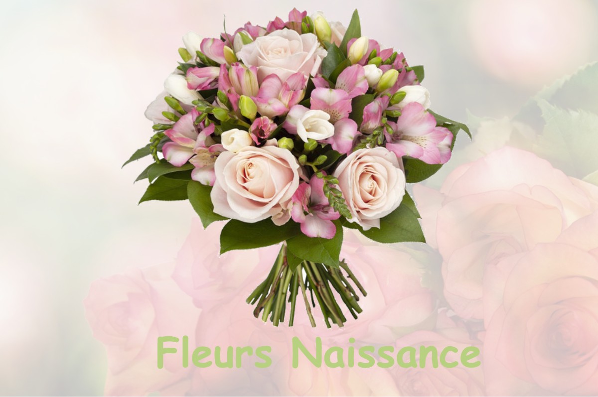fleurs naissance BORDEAUX-SAINT-CLAIR